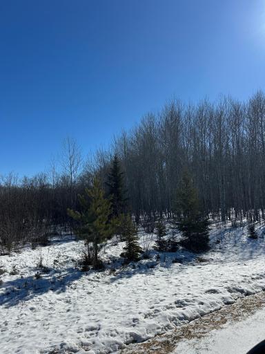 TBD 8th Street NW, Baudette, MN 56623