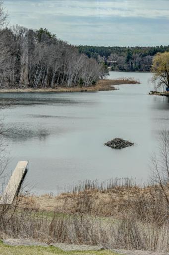 Nature and wildlife surrounds you.