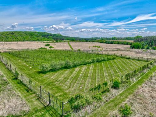 Private Vineyard produces 800 bottles of wine annually.