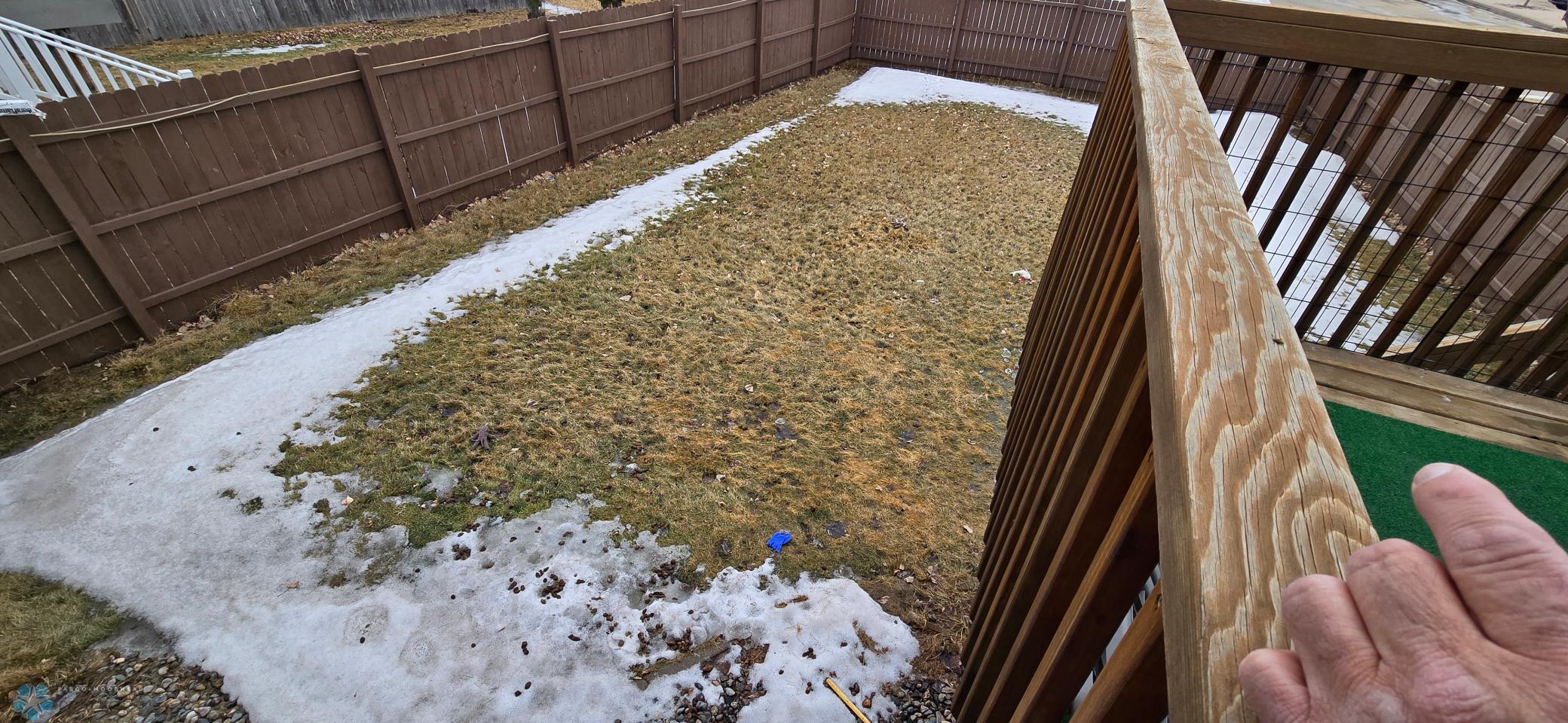 Fenced back yard