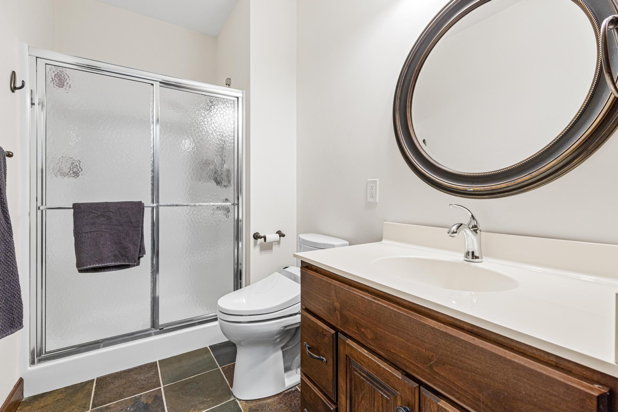 Lower Level walk in shower br #1