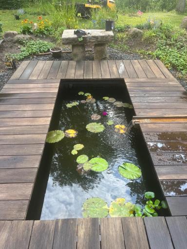 Japanese-style Pond