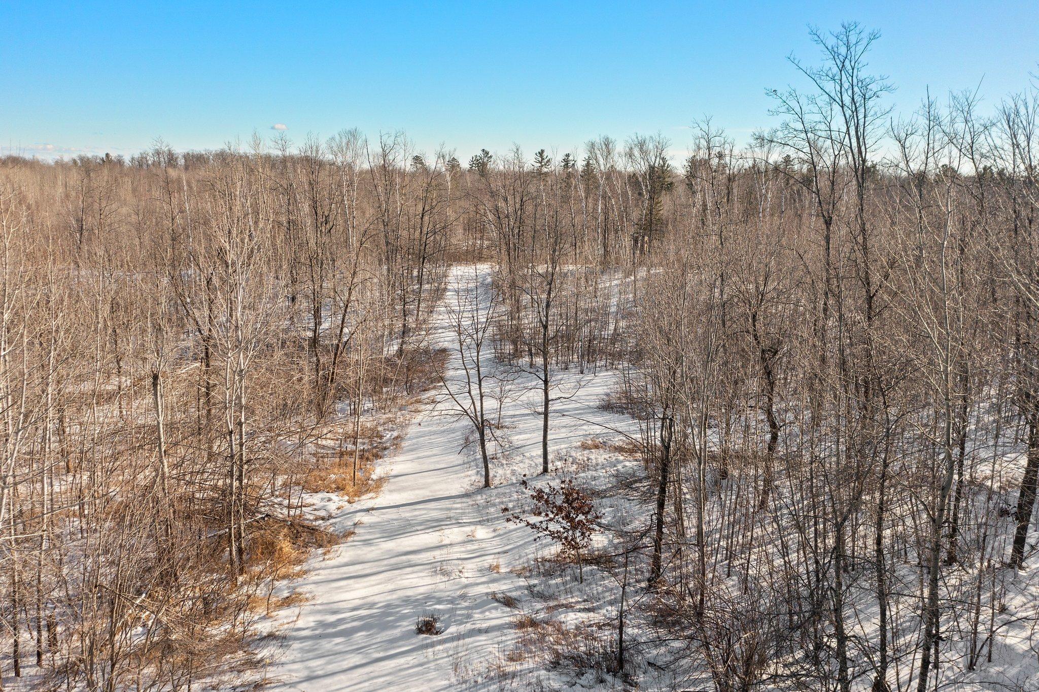 Beautiful wooded trails