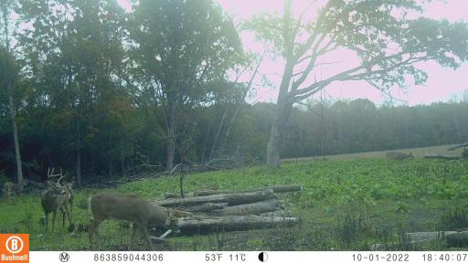 0 hwy 25, Wheeler, WI 54772