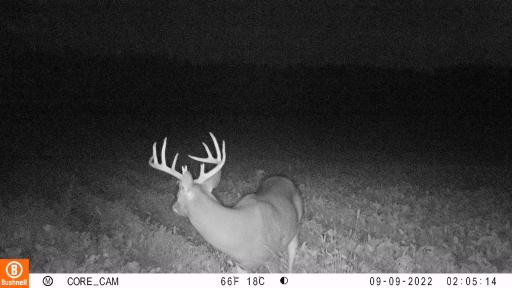 0 hwy 25, Wheeler, WI 54772