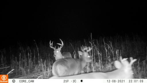 0 hwy 25, Wheeler, WI 54772
