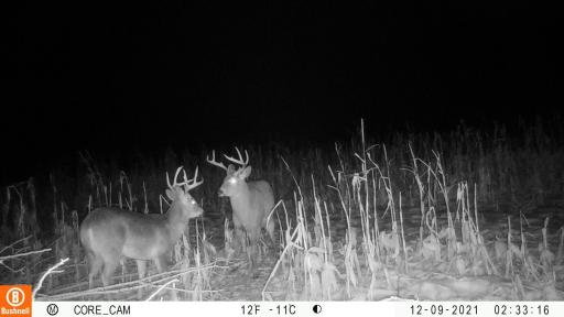 0 hwy 25, Wheeler, WI 54772