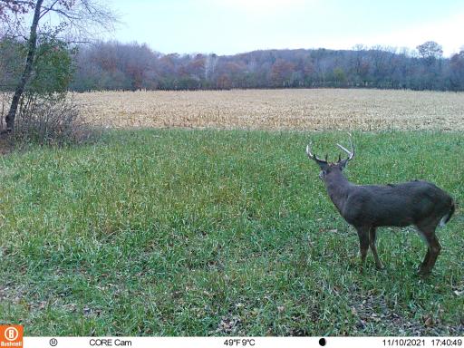 0 hwy 25, Wheeler, WI 54772