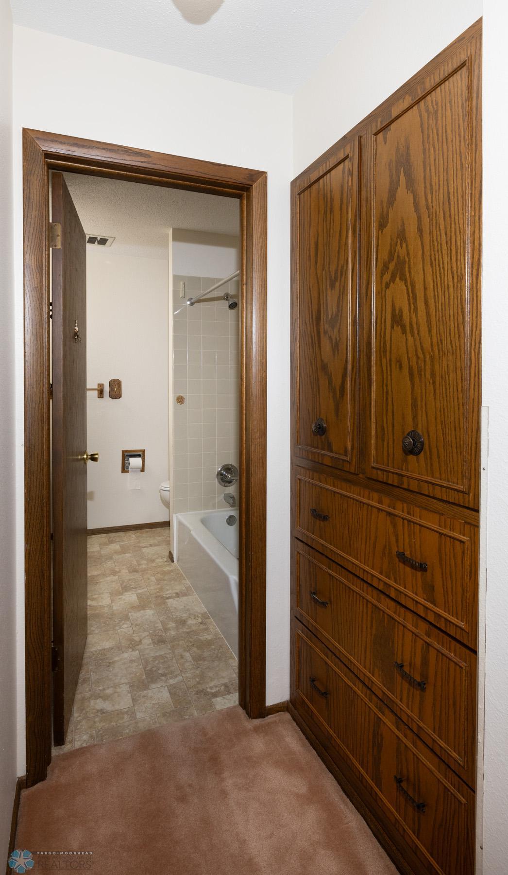Bathroom and Hallway Cabinet
