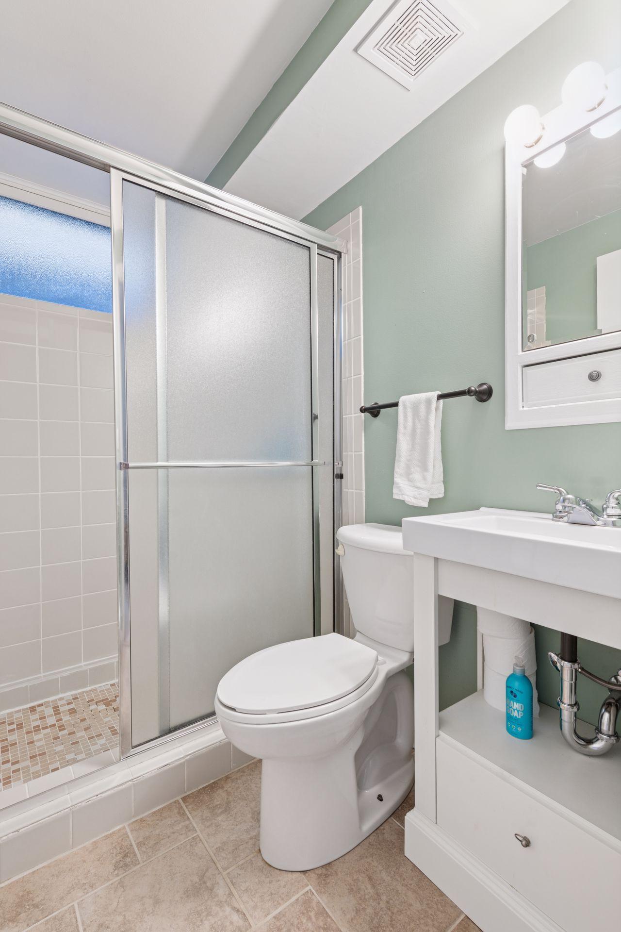 Lower level bathroom.