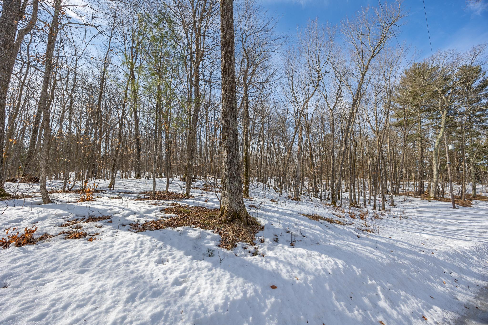 Additional view of lot