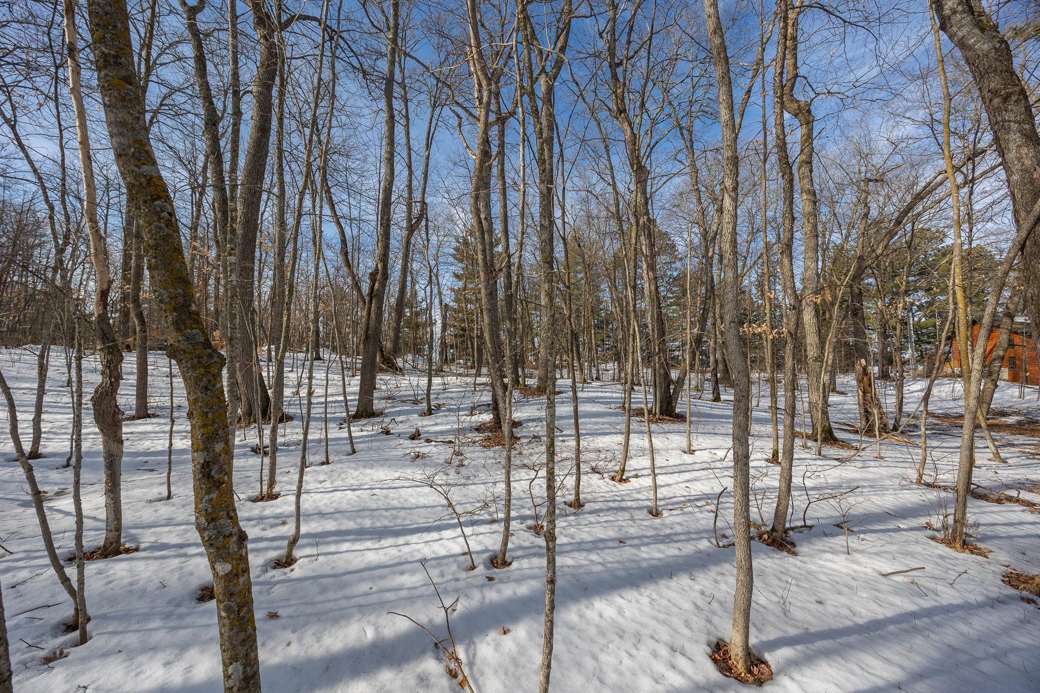 Additional views of wooded lot