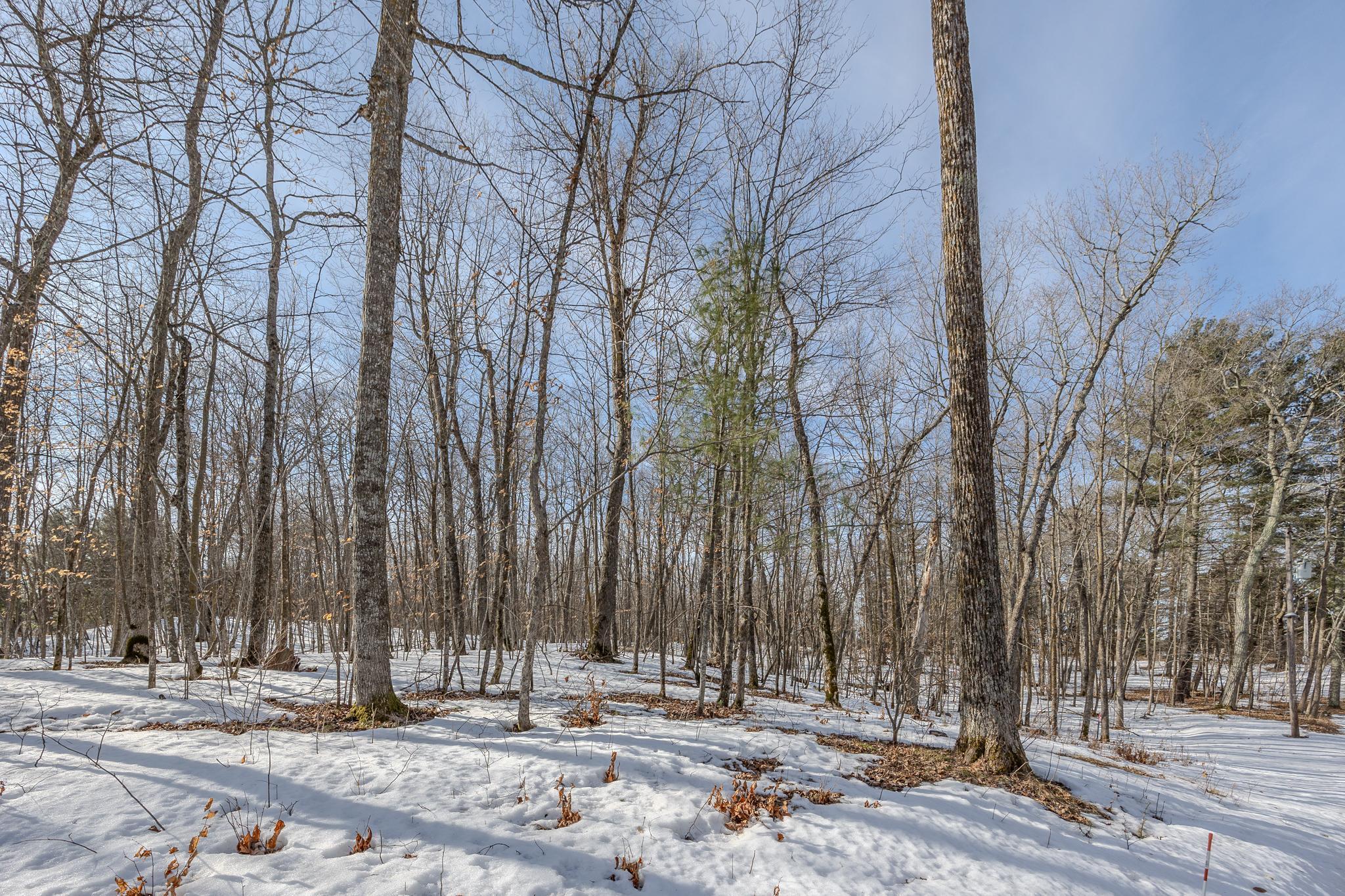 Additional views of lot