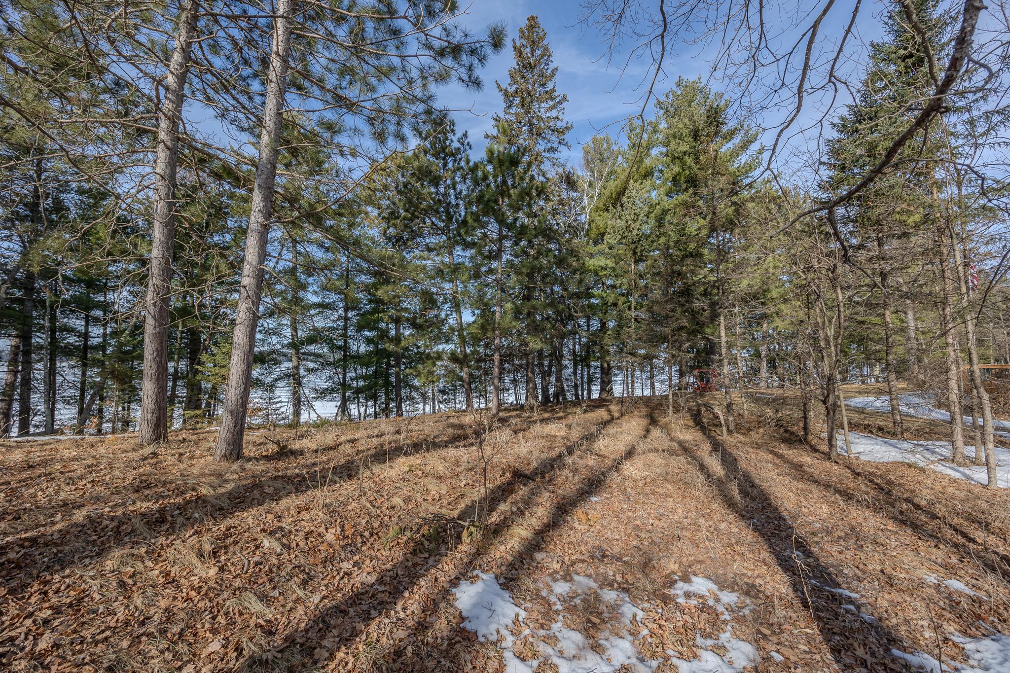 Additional views of lot