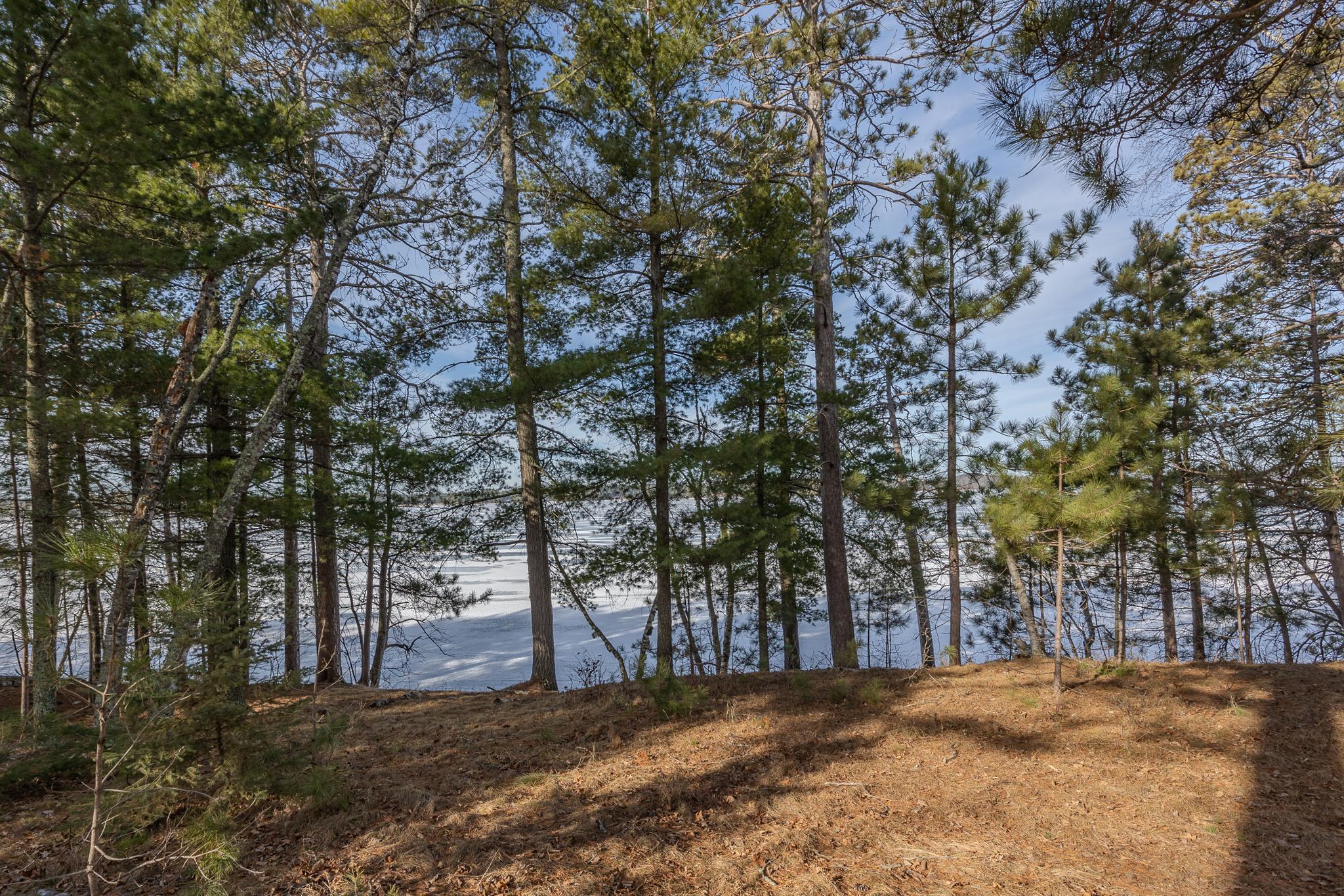 You will love the towering pine trees