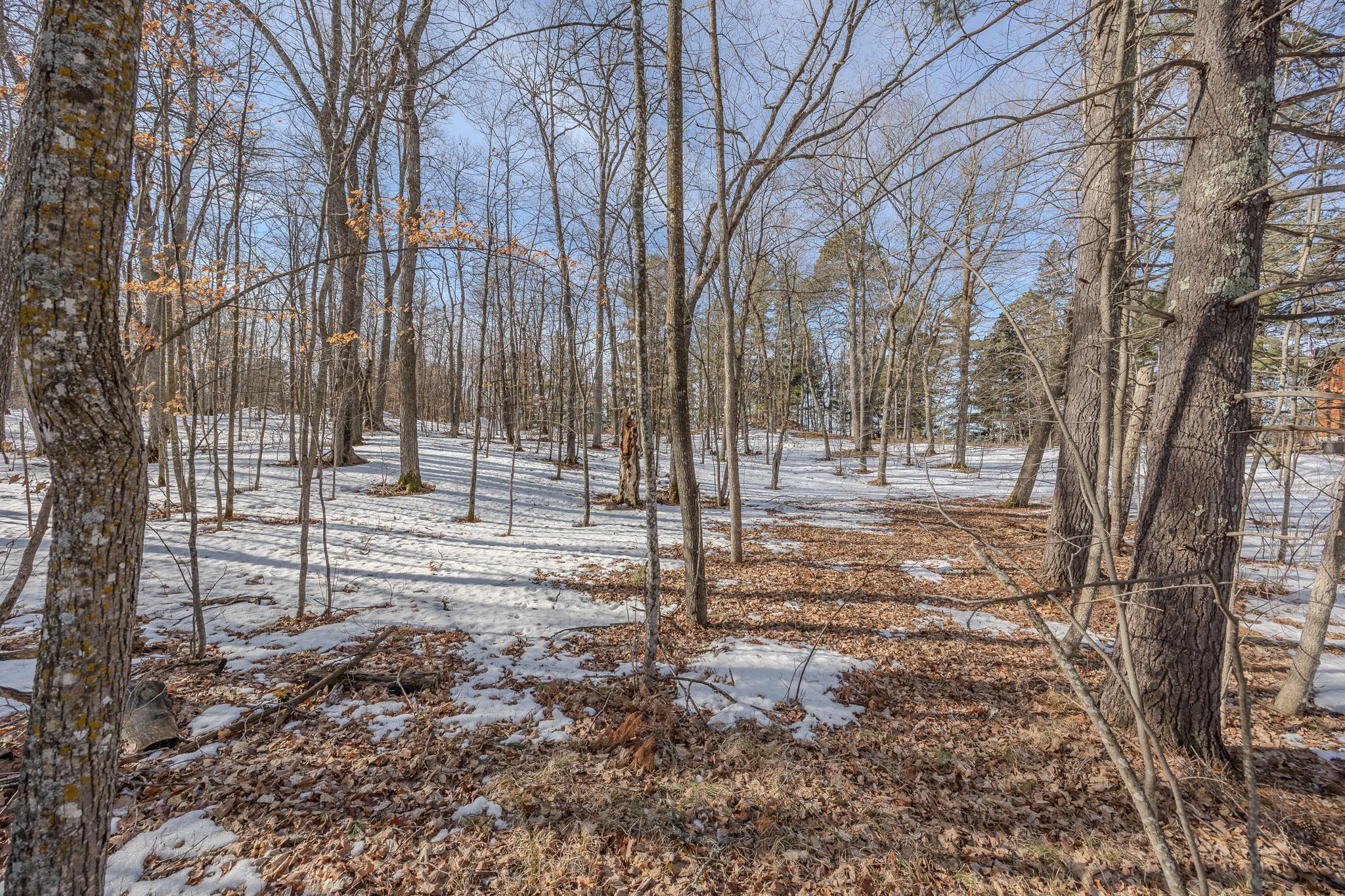 Additional views of lot