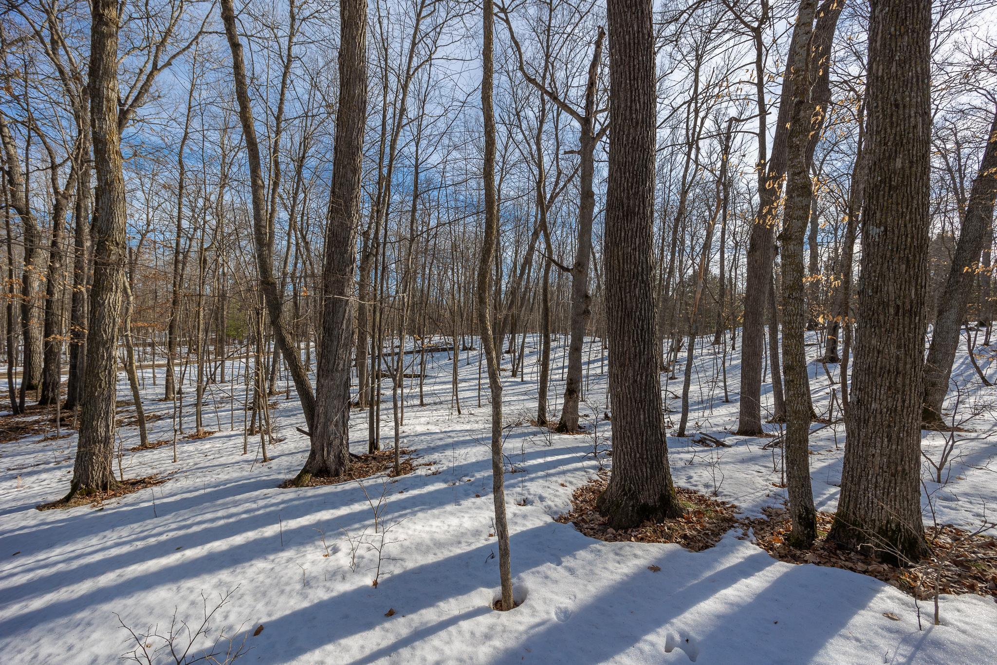 Additional views of wooded lot