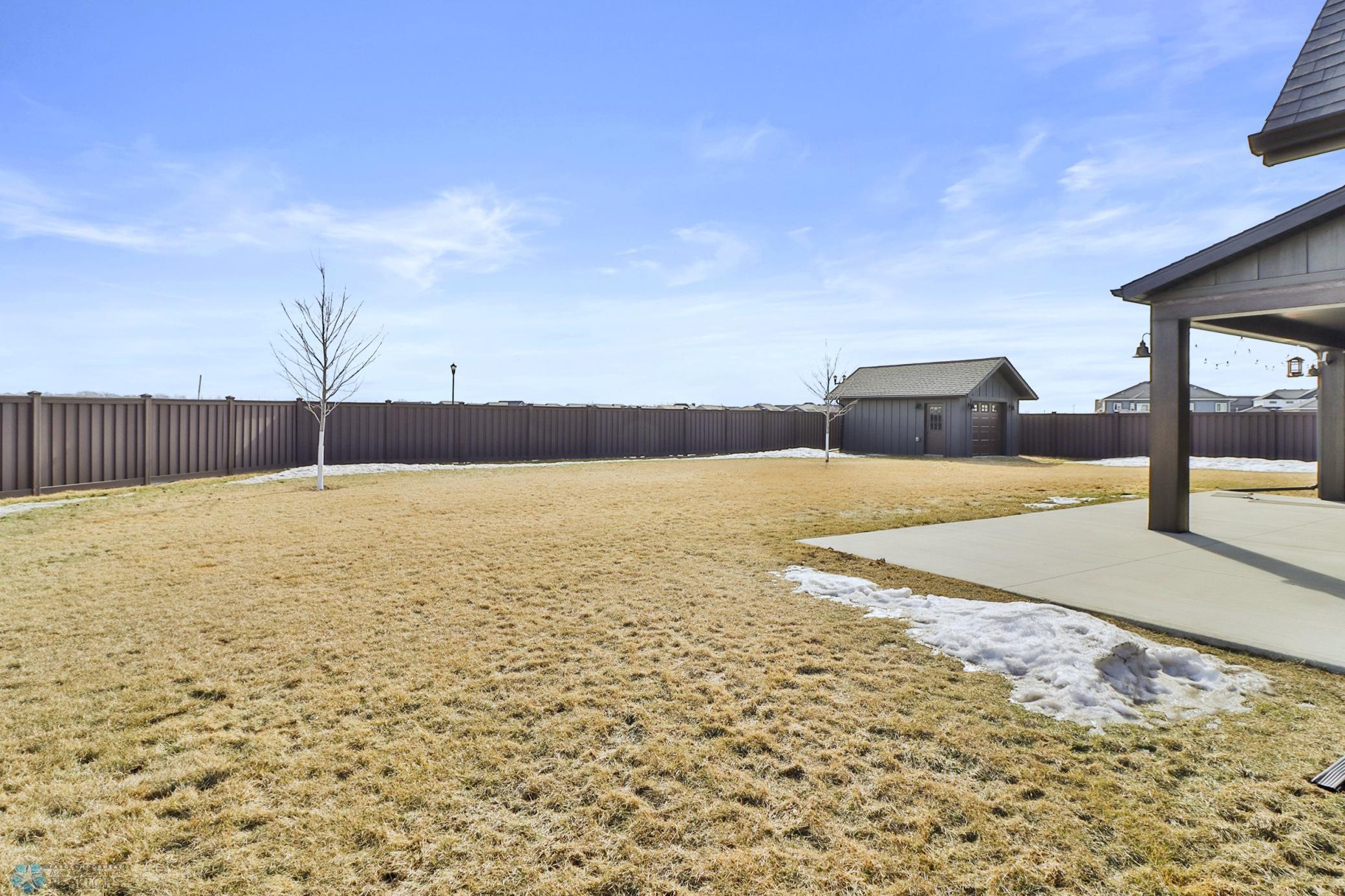 Backyard1_1.JPG