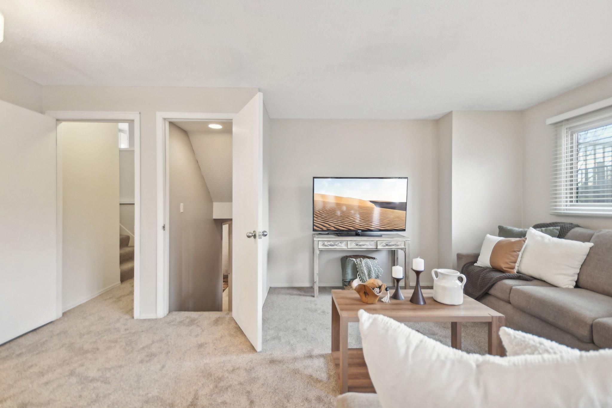 lower level family room