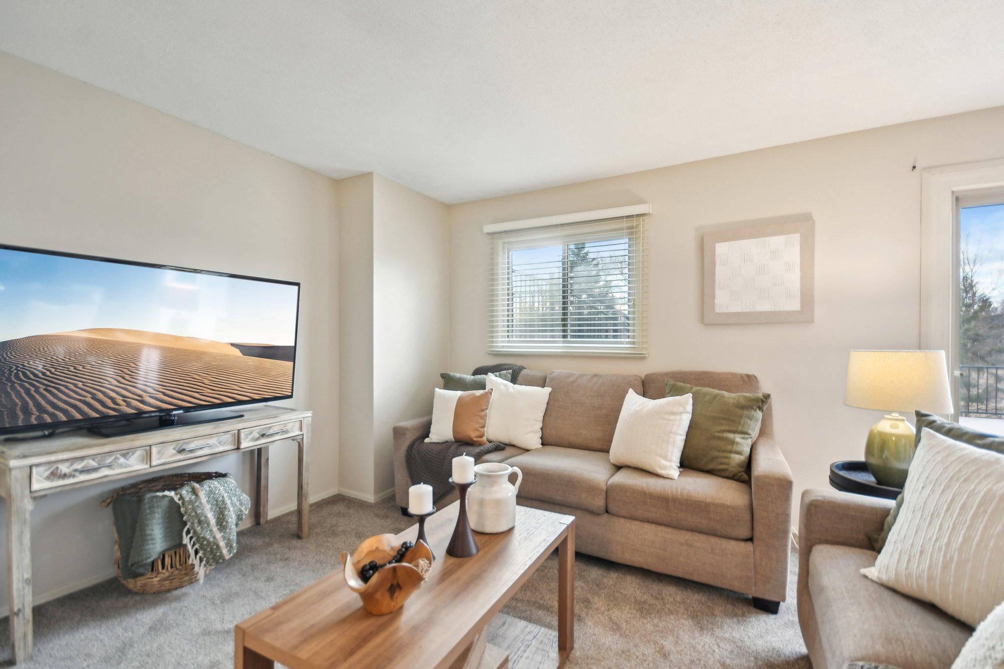 lower level family room