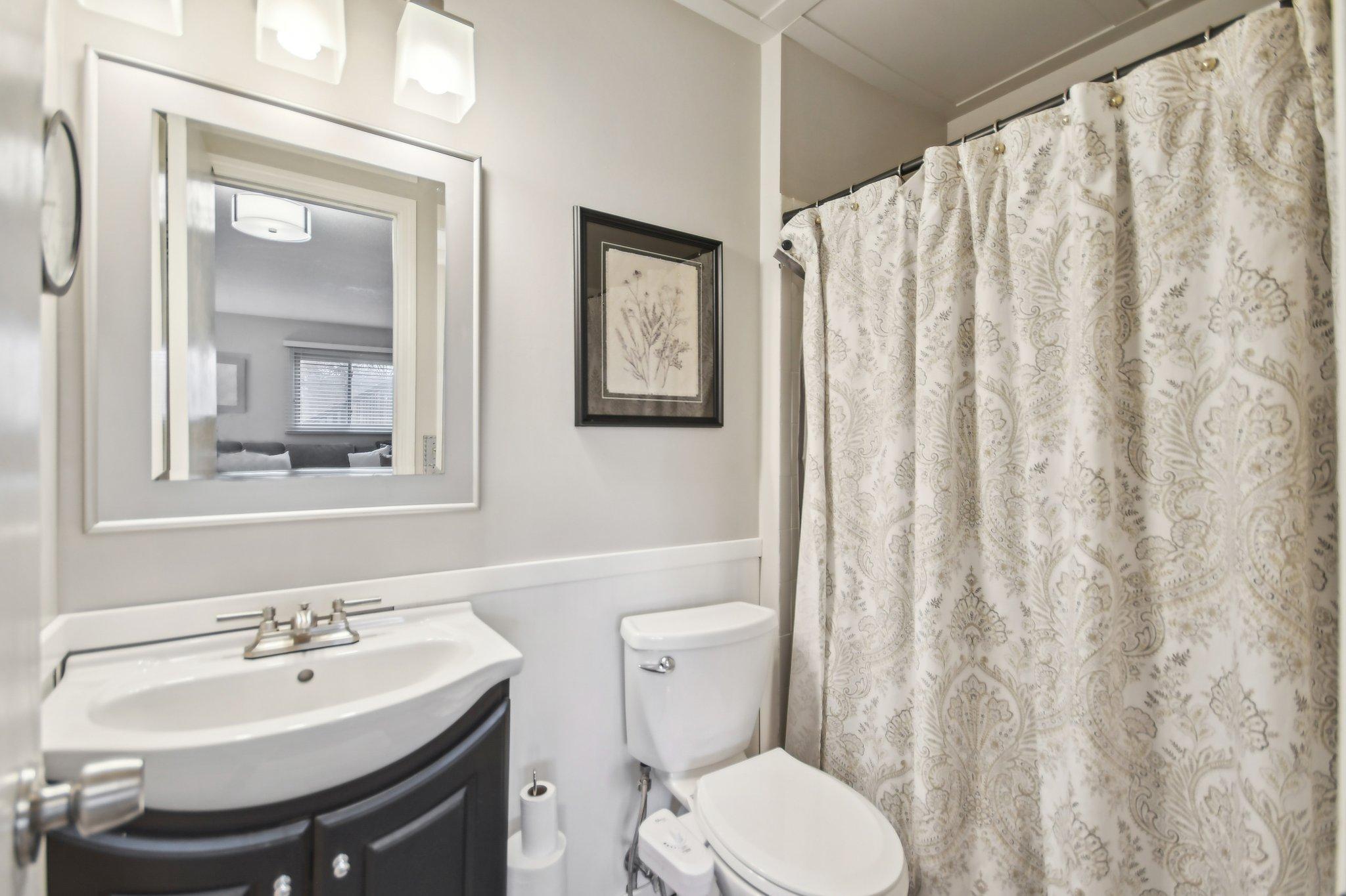 lower level bathroom