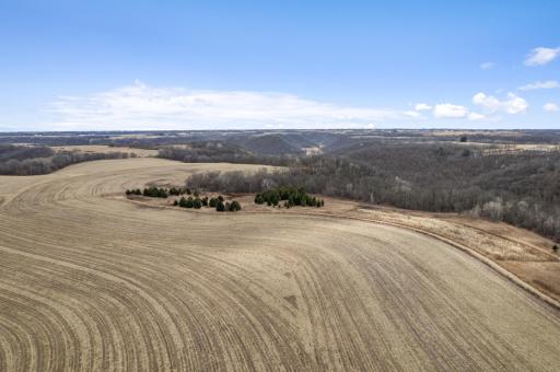 25954 County Road 15, Winona, MN 55987