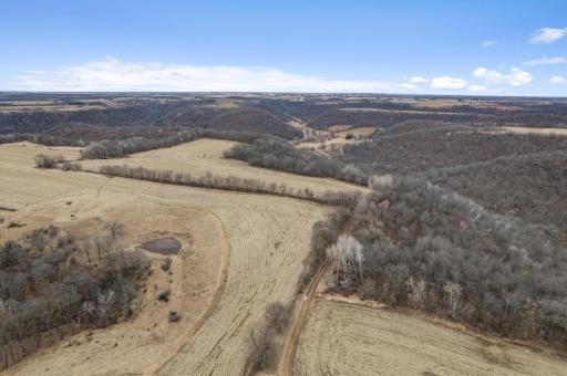 25954 County Road 15, Winona, MN 55987