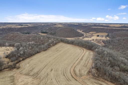 25954 County Road 15, Winona, MN 55987