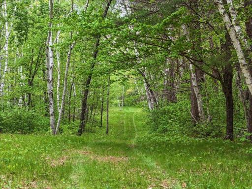 6167 24th Street SW, Pine River, MN 56474