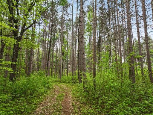 6167 24th Street SW, Pine River, MN 56474