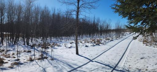 6757 164th Street SE, Atwater, MN 56209