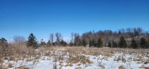 6757 164th Street SE, Atwater, MN 56209