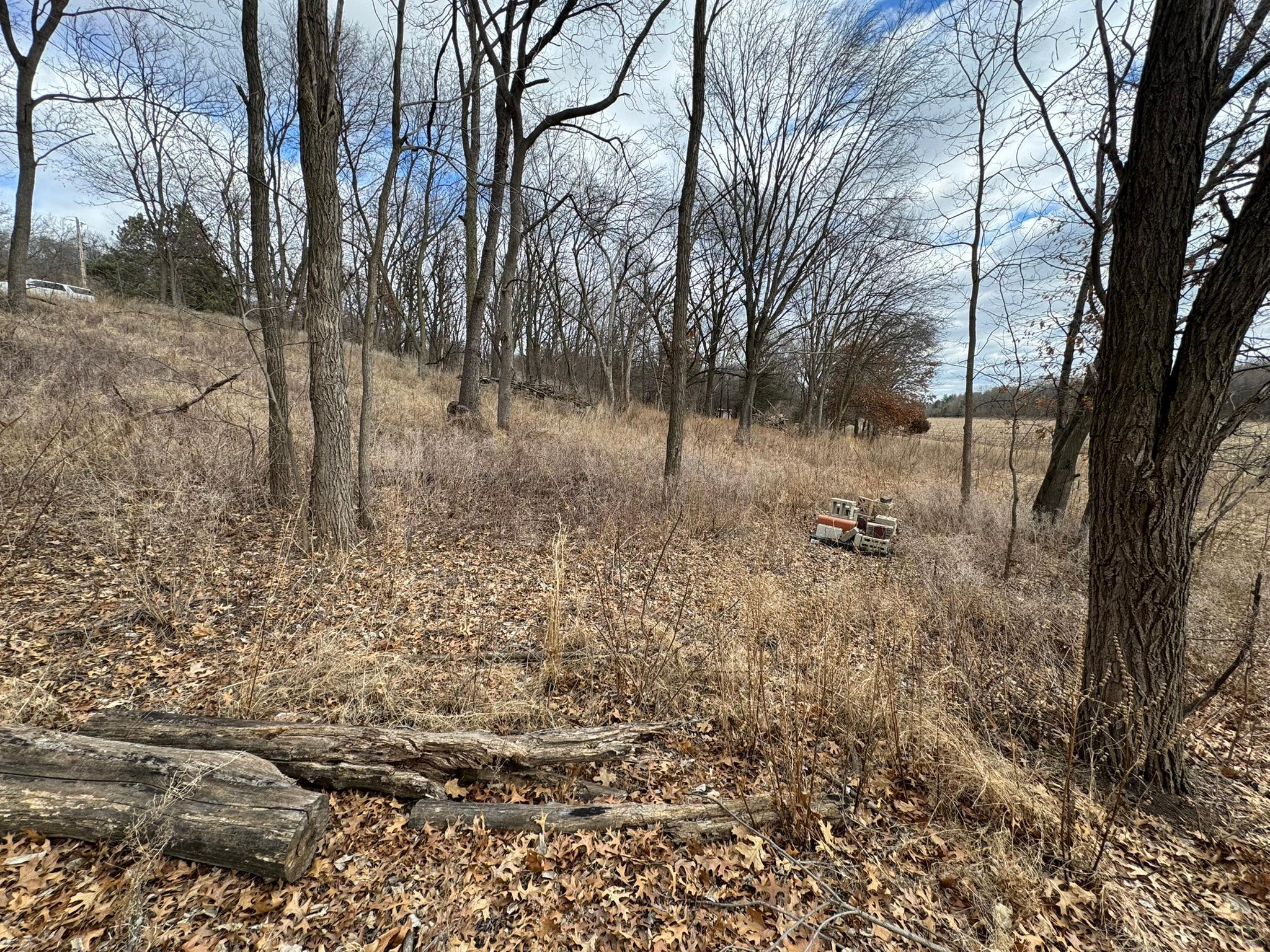 Photo 20