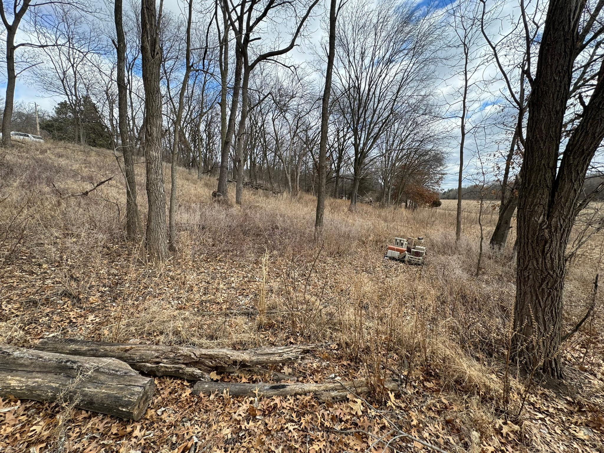 Photo 21