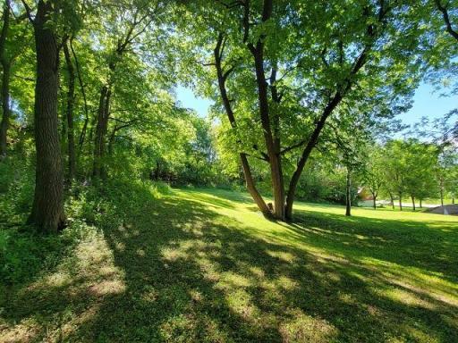 XXX W Church Street, Belle Plaine, MN 56011