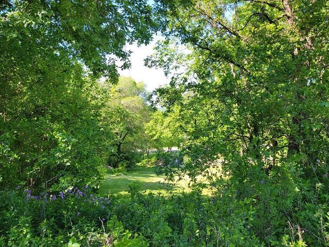 View over the valley