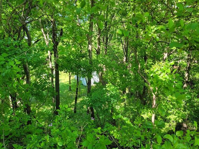 View down to shed / garage