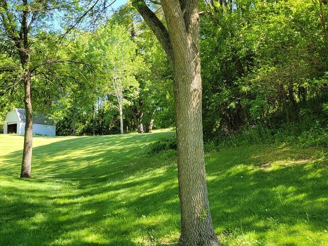 View coming up possible entance