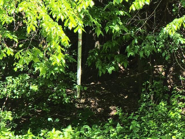 Property marker in trees just east of shed / garage close up