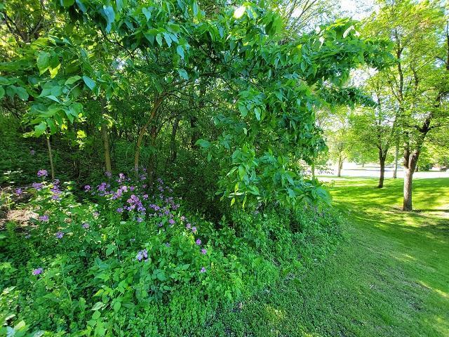 Lower left property marker