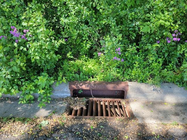 Property pin on the right side from street is behind this