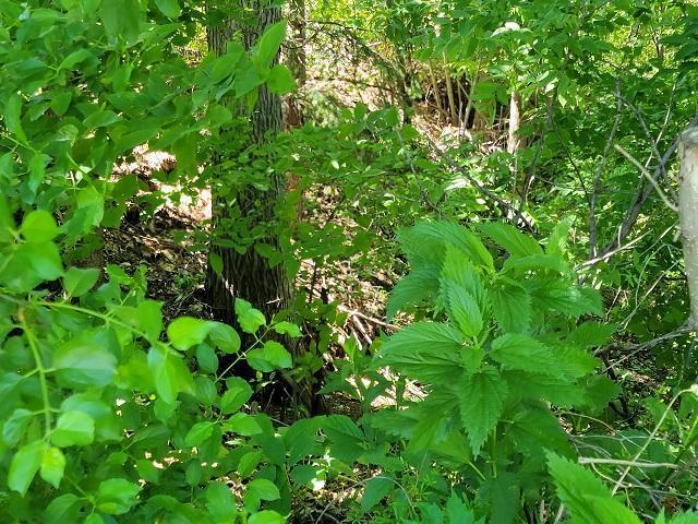 Property pin on the right side from street