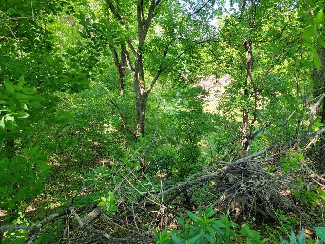 Upper left property marker