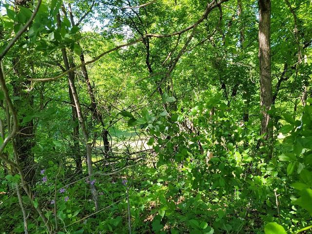 Upper left property marker 2