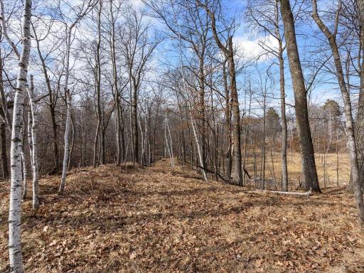 TBD Whitstrom RD, Nisswa, MN 56468