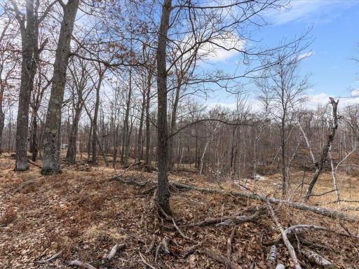TBD Whitstrom RD, Nisswa, MN 56468