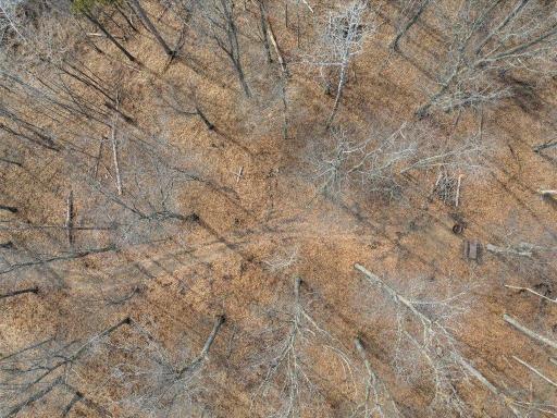 TBD Whitstrom RD, Nisswa, MN 56468