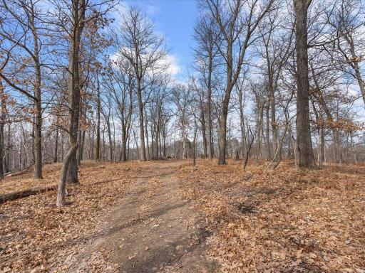 TBD Whitstrom RD, Nisswa, MN 56468