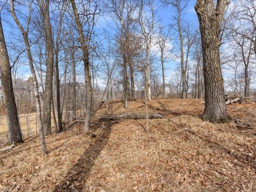 TBD Whitstrom RD, Nisswa, MN 56468