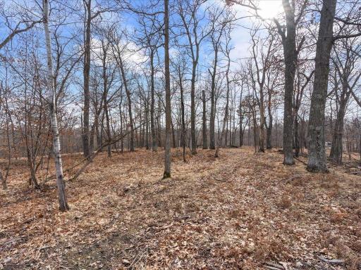 TBD Whitstrom RD, Nisswa, MN 56468